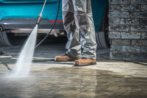 Best Graffiti Removal Services in Shirley, NY