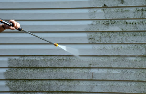 Best Window and Screen Pressure Cleaning in Shirley, NY